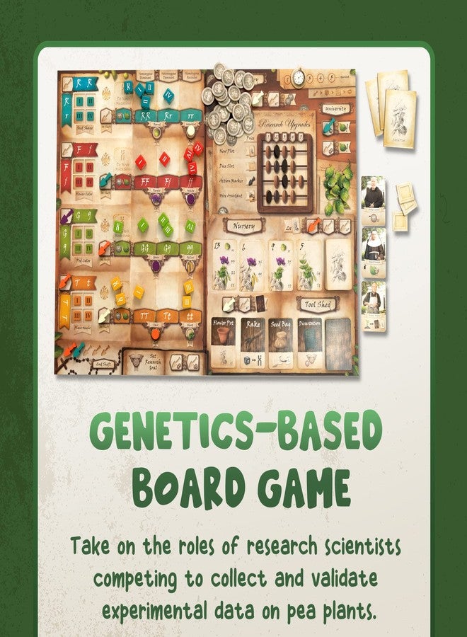 Genius Games Genotype: Mensa Award Winning Genetics Board Game about Mendel's Pea Plants - Image 4